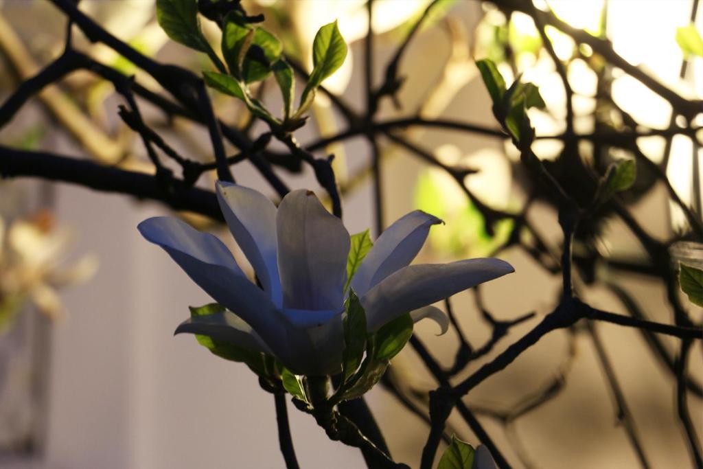 Berliner Hof Hotel Dallgow-Doeberitz ภายนอก รูปภาพ